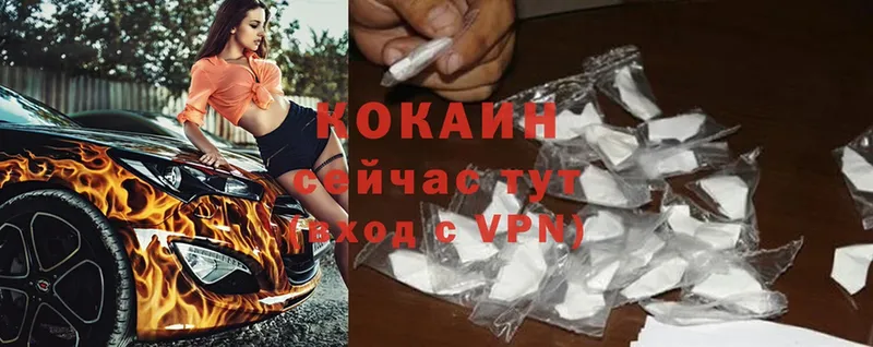 как найти закладки  Каменск-Шахтинский  COCAIN VHQ 